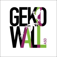 Logo GEKO WALL - BORSO DEL GRAPPA A.S.D.